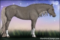 Horse Color:Silver Black 