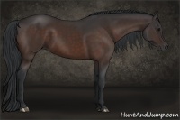 Horse Color:Brown 