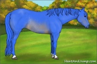 Horse Color:Watercolor Brown Rabicano