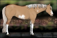 Horse Color:Silver Bay Dun Sabino Tobiano Frame Rabicano 
