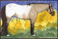 Horse Color:Bay Dun Snowcap 