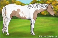 Horse Color:Silver Black Pearl Tobiano 