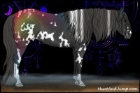 Horse Color:White Spotted Smoky Black Varnish 