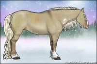 Horse Color:Liver Red Dun Sabino Splash Rabicano Brindle 