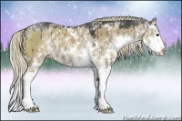 Horse Color:Liver Red Dun Sabino Splash Rabicano