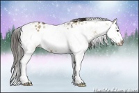 Horse Color:Liver Red Dun Sabino Splash Rabicano Brindle