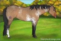 Horse Color:White Spotted Brown Roan Dun