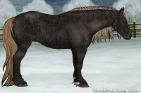 Horse Color:Liver Chestnut Ice 