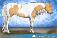 Horse Color:Silver Buckskin Tobiano Rabicano