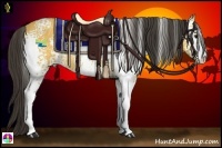 Horse Color:White Spotted Buckskin Rabicano