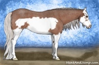 Horse Color:Silver Bay Roan Splash Frame 