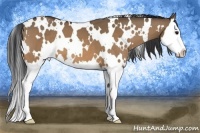 Horse Color:White Spotted Brown Dun Splash