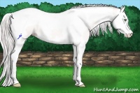 Horse Color:Silver Amber Champagne Dun Splash Tobiano 