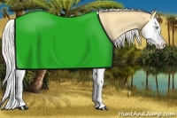 Horse Color:Silver Amber Cream Champagne Dun Splash 