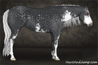 Horse Color:Silver Black Chinchilla Sabino