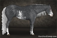 Horse Color:Silver Black Chinchilla Sabino