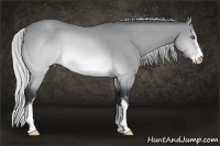 Horse Color:Silver Brown Chinchilla Sabino 