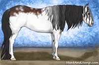 Horse Color:White Spotted Brown Frame 