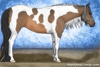 Horse Color:Buckskin Roan Tobiano
