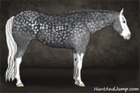 Horse Color:Silver Smoky Black Chinchilla Sabino Splash