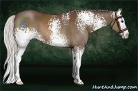 Horse Color:White Spotted Silver Brown Splash 