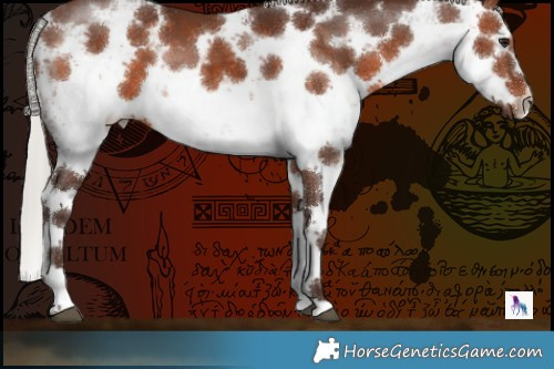 Horse Color:White Spotted Silver Brown Sabino 
