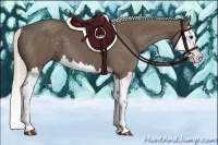 Horse Color:Silver Black Splash