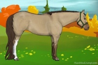 Horse Color:Liver Red Dun 