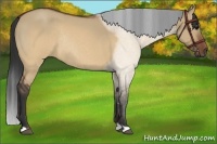 Horse Color:Brown Roan Dun Rabicano