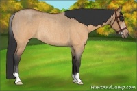 Horse Color:Brown Roan Dun Rabicano Brindle