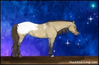 Horse Color:Buckskin Roan Dun Snowcap 