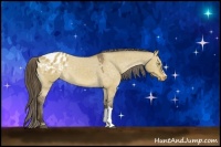 Horse Color:Buckskin Dun Varnish 
