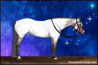 Horse Color:Bay Roan Dun Sabino Appaloosa
