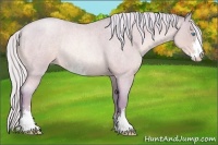 Horse Color:Watercolor Silver Buckskin Roan Pearl Sabino Rabicano 