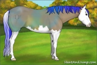 Horse Color:Watercolor Bay Splash