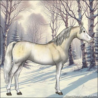 Horse Color:White Spotted Liver Red Dun Pearl Onyx Mushroom Splash Brindle