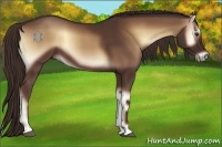 Horse Color:Red Onyx 