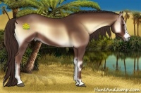 Horse Color:Red Onyx 