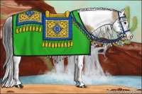 Horse Color:Bay Dun Sabino Splash Tobiano 