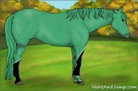 Horse Color:ERROR: UNKNOWN ANOMALY