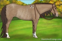 Horse Color:Classic Champagne Rabicano