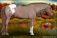 Horse Color:Red Roan Varnish