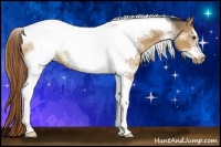 Horse Color:Liver Red Dun Sabino Tobiano Frame 