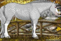 Horse Color:Silver Classic Champagne Chinchilla Dun 