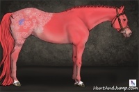 Horse Color:Watercolor Liver Chestnut Ice 