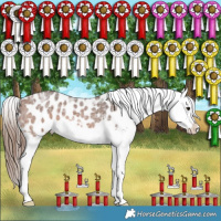 Horse Color:Bay Ice Roan Splash Appaloosa 