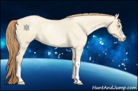 Horse Color:Smoky Grullo Pearl 