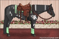 Horse Color:White Spotted Black