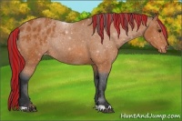 Horse Color:Painted Bay Varnish Rabicano 