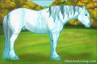 Horse Color:Thunderstruck Bay Sabino Splash Appaloosa 